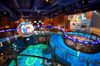 Walt Disney Family Museum